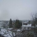 Webcam_20250110-130000