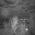 Webcam_20250110-181500