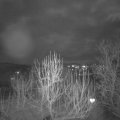 Webcam_20250110-194500
