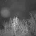 Webcam_20250111-070000