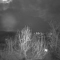 Webcam_20250111-174500