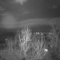 Webcam_20250111-184500