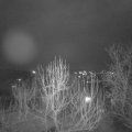 Webcam_20250111-191500
