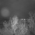 Webcam_20250111-194500