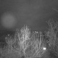 Webcam_20250111-204500