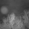Webcam_20250112-061500