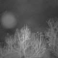 Webcam_20250112-064500