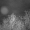 Webcam_20250112-070000