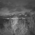 Webcam_20250112-071500