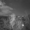 Webcam_20250112-174500