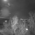 Webcam_20250112-190000