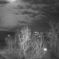 Webcam_20250112-191500