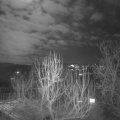 Webcam_20250112-193000