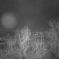 Webcam_20250113-063000