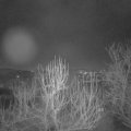 Webcam_20250113-064500