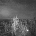 Webcam_20250113-174500