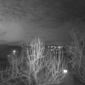 Webcam_20250113-181500