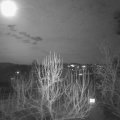 Webcam_20250113-193000