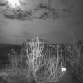 Webcam_20250113-200000