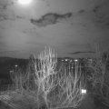 Webcam_20250113-201500