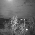 Webcam_20250113-203000
