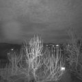 Webcam_20250113-211500