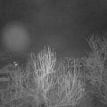 Webcam_20250114-050000