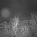 Webcam_20250114-053000