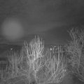 Webcam_20250114-063000