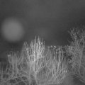 Webcam_20250115-190000