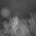 Webcam_20250115-200000