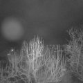 Webcam_20250115-201500