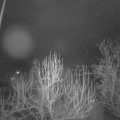 Webcam_20250115-214500