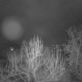 Webcam_20250116-051500
