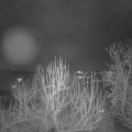 Webcam_20250116-201500