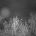Webcam_20250116-203000