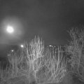 Webcam_20250116-213000