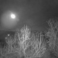 Webcam_20250116-220000