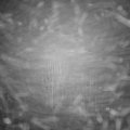 Webcam_20250117-053000