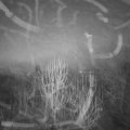 Webcam_20250117-071500