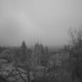 Webcam_20250117-074500