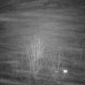 Webcam_20250117-181500