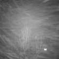 Webcam_20250117-184500