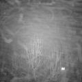 Webcam_20250117-191500