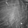 Webcam_20250117-193000