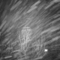 Webcam_20250117-194500
