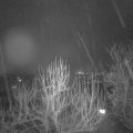 Webcam_20250117-204500