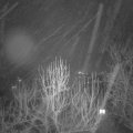 Webcam_20250117-211500