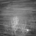 Webcam_20250117-214500