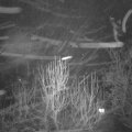 Webcam_20250118-051500